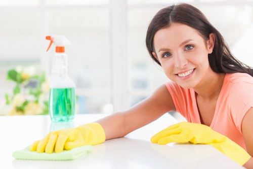 Professional move out cleaning for a Harringay home interior