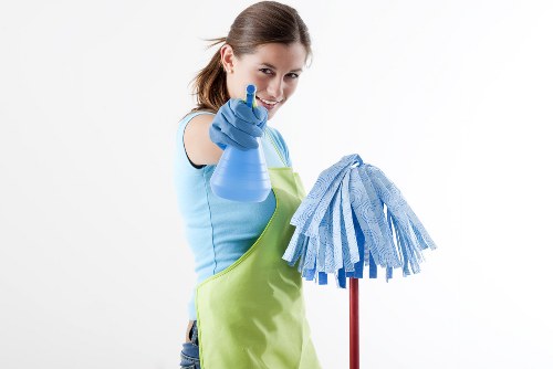 Stain removal service for carpets and upholstery in Harringay home