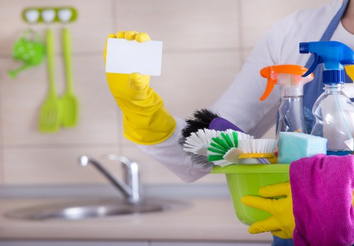 Domestic cleaner maintaining a tidy Harringay living room