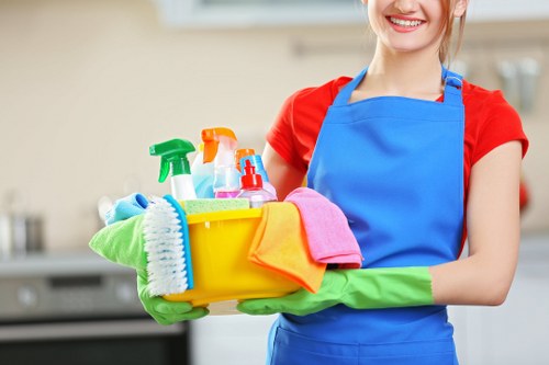 Local cleaners carrying out a thorough deep clean in Harringay