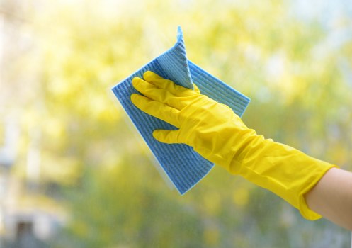 Professional carpet cleaning Harringay service introduction