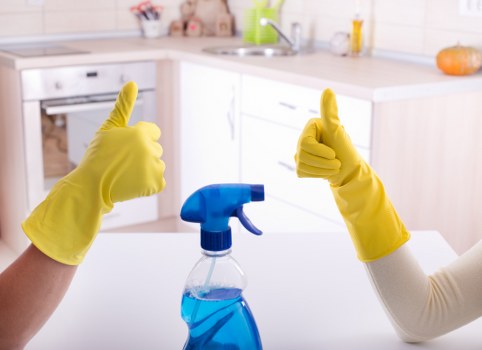 Detailed bathroom deep cleaning in a Harringay flat