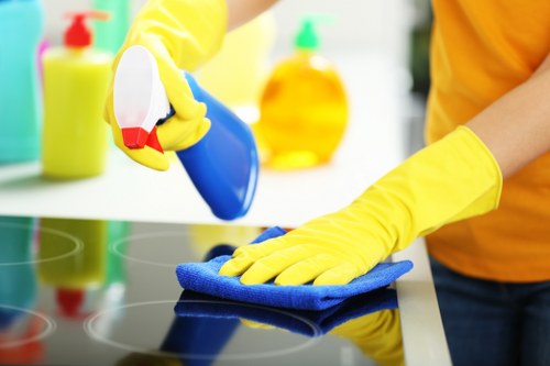 Local technician treating a stubborn pet odour in Harringay