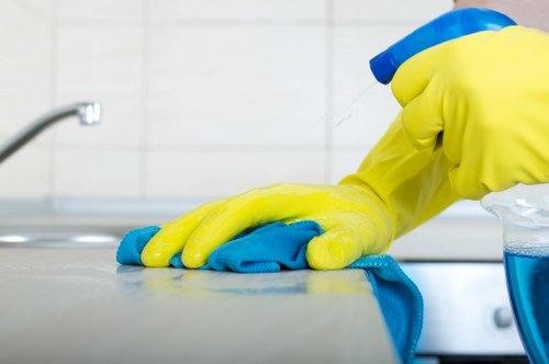 Upholstery and carpet pet stain cleaning in Harringay