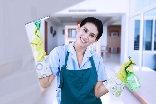 Deep cleaning treatment for pet accidents in a Harringay home