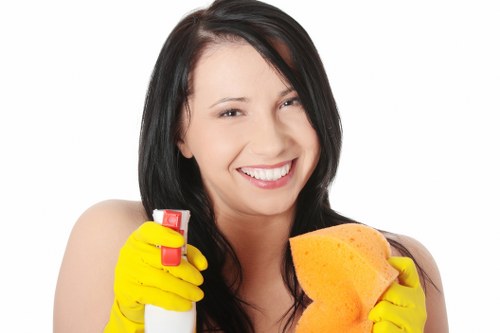 Dust removal and surface cleaning after renovation work in Harringay