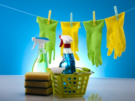 Reporting channels and concern handling in Carpet Cleaning Harringay