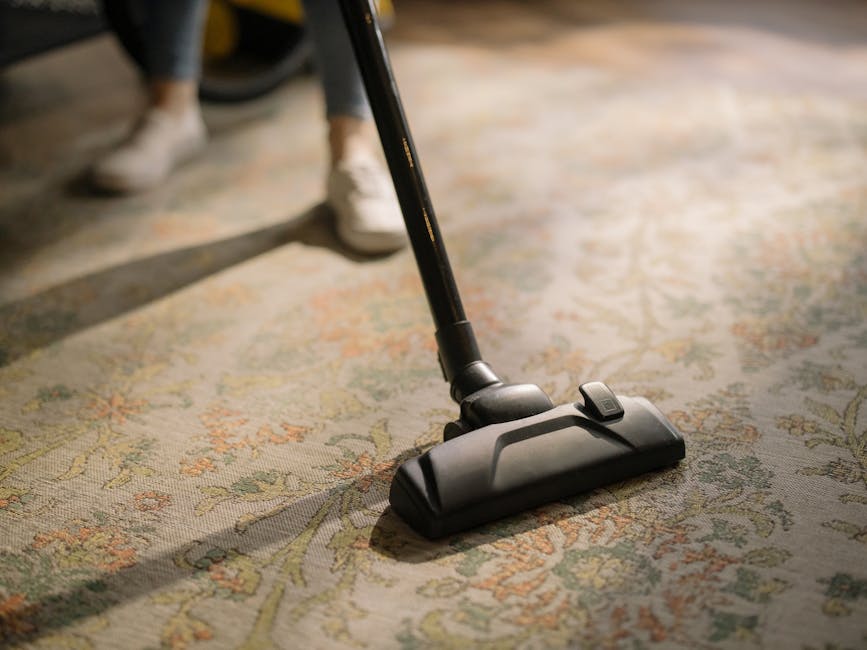 A professional in full protective gear, including a white suit, gloves, and shoe covers, is performing deep carpet cleaning in a bright, modern living room. The technician from Carpet Cleaning Harringay uses a professional vacuum or steam cleaning tool to remove dirt and stains from a light-colored, textured carpet. The room features natural light coming through a window, with minimalistic furniture such as a wooden shelf with decorative items, potted plants, and a small wooden table. The clean, well-maintained space highlights effective surface cleaning and sanitisation processes, demonstrating domestic cleaning services aimed at maintaining hygiene and freshness in residential environments.