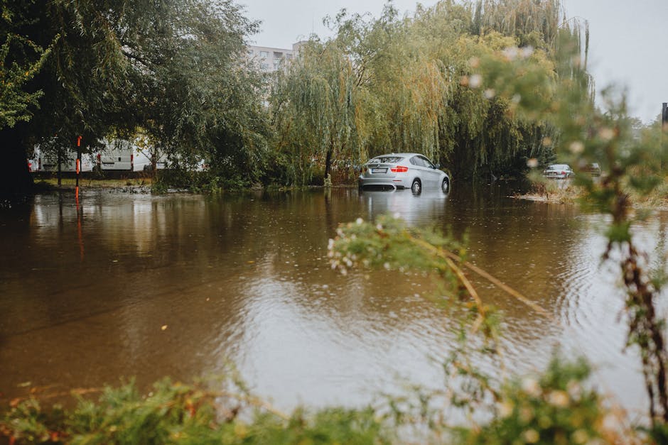 A flooded street near Wightman Road in Harringay during a heavy rainstorm, with water covering the asphalt pavement and partially submerging parked cars, including a silver vehicle in the center. Surrounding trees with green and yellow leaves are partially submerged, and the scene appears overcast with diffused natural light, highlighting the extent of flooding. The image reflects a recent flood event, emphasizing the importance of surface and deep cleaning for property restoration. The area is outdoors with visible water accumulation on the road surface, and no indoor surfaces or cleaning tools are present. The scene underscores the need for professional flood recovery and sanitisation services, like those offered by Carpet Cleaning Harringay.